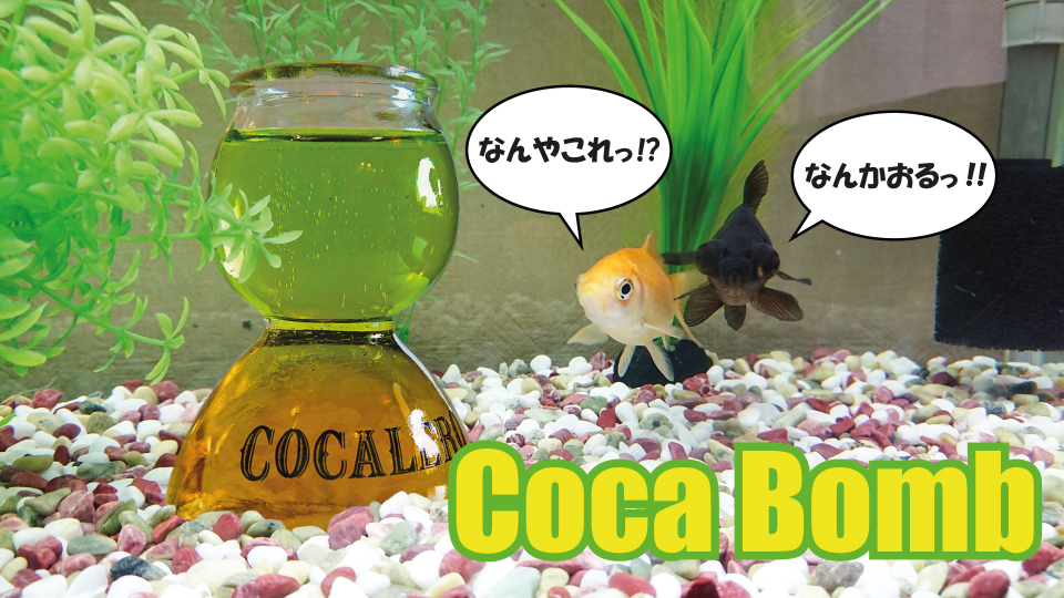 中洲、バー、Bar、Giraffe、金魚