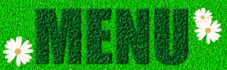 SYSTEM