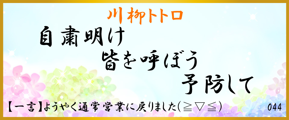 中洲、バー、川柳